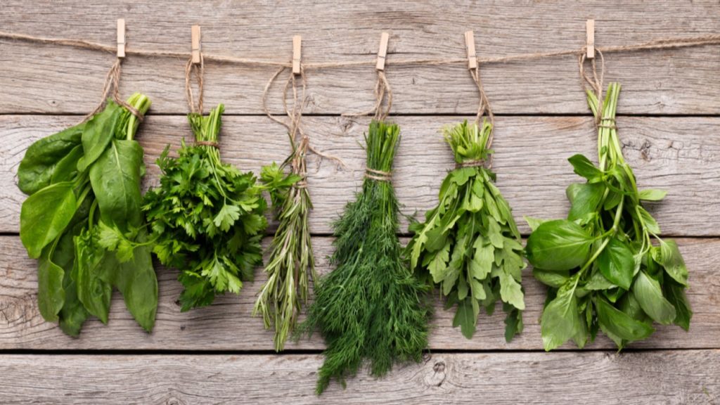 Estas son las 8 hierbas aromáticas imprescindibles para tu cocina
