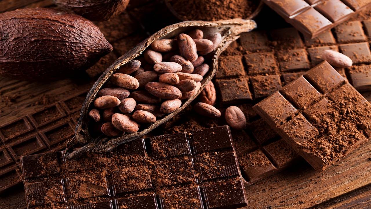 Cada 7 de julio se celebra el Día Mundial del Cacao y es una chance inmejorable para probar platos increíbles en lugares recomendados.