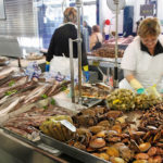 Guía rápida para conocer los mejores pescados argentinos