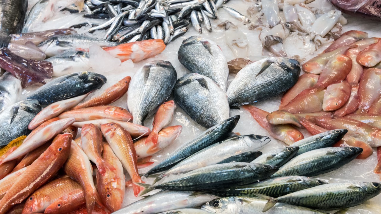 Lubricar Dental Concesión Comer pescado los lunes, ¿acierto o error? - Cucinare
