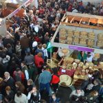 Fiesta del Vino de la Costa: todos los detalles de un evento clave para la provincia de Buenos Aires