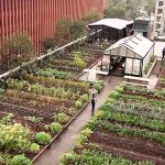 Un restaurant en la terraza de un edificio, la huerta inesperada para comensales y vecinos