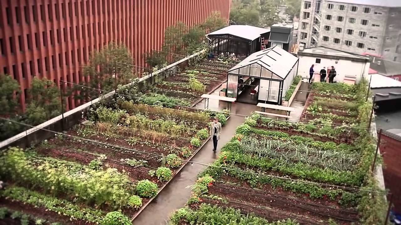 huerta en la terraza de un edificio