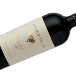 El mejor vino argentino es de Mendoza, según Wine Spectator