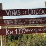 El vino más alto del mundo pertenece a una bodega de Jujuy