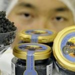 China conquista la alta cocina mundial con su propio caviar