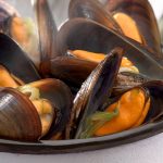 Razones de la ausencia de los mejillones