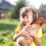 El restaurant que propone a sus clientes adoptar gallinas destinadas al matadero
