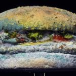 Hamburguesa podrida: la original idea de una cadena de comidas rápidas para decirle adiós a los conservantes