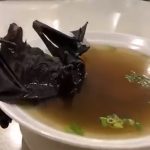 A pesar de haber sido el foco de la pandemia, en China vuelven a vender murciélagos vivos para cocina