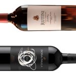 Dos vinos argentinos entre los diez mejores del mundo, según Decanter