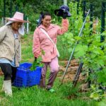 Vino en Tailandia: la historia de dos hermanas que comenzaron a producir contra todos los pronósticos