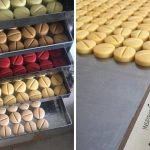 Un pastillero de chocolate premium, el original proyecto de un pastelero argentino para ser feliz en cuarentena
