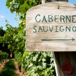 Cabernet sauvignon: la reina de las cepas está de festejo