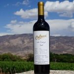 Un vino argentino, entre los cinco mejores tintos del mundo