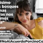 Acuerdo porcino con China: una ONG convoca a famosos para visibilizar sus riesgos con una dura campaña