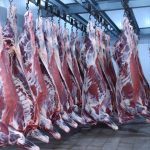 Carne con covid: China frenó un embarque proveniente de la Argentina
