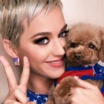 Katy Perry anunció que hará vegano a su perro: las consecuencias que podría tener ese cambio de alimentación