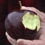 Manzana negra, la fruta exótica que se cultiva en el Tíbet y cuesta 8 dólares la unidad