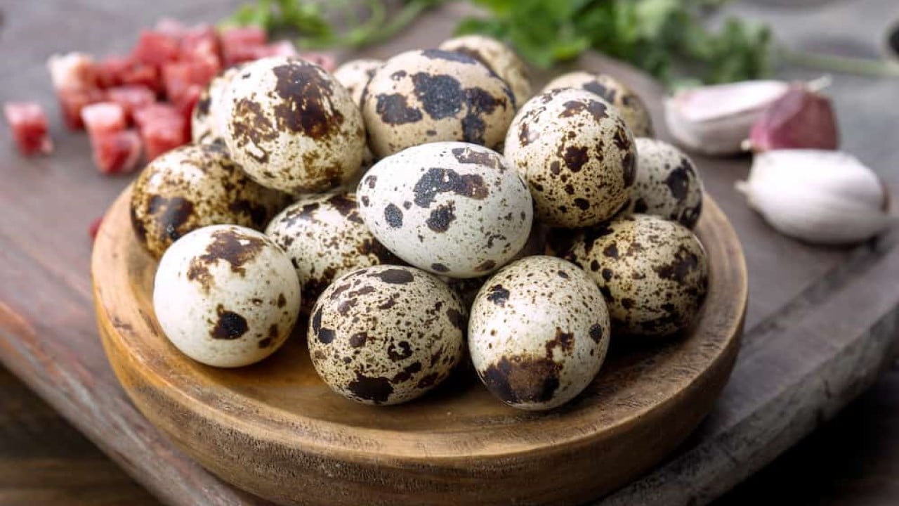 Huevos de codorniz: tips para aprovecharlos en todo tipo de comidas - Cucinare
