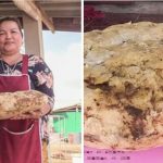 Una mujer encontró siete kilos de vómito de cachalote valuados en 260 mil dólares