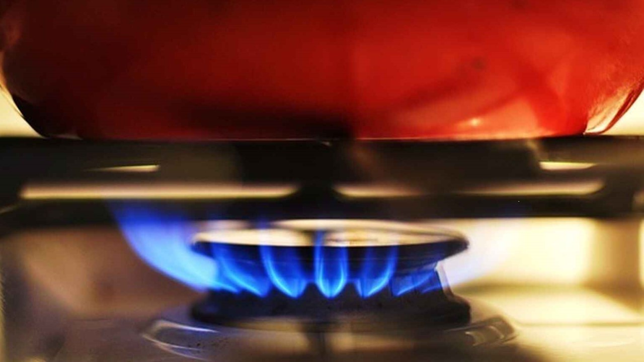 Horno de gas: tipos y consejos de compra - Consumoteca