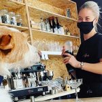 Tragos para perros y humanos, la principal atracción del bar creado especialmente para mascotas