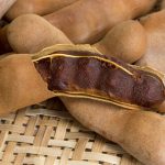 Tamarindo, un ingrediente exótico que tiene variados usos y cuyas propiedades nutritivas lo convierten en un producto clave para el organismo