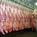Cepo a las exportaciones de carne: el gobierno de Alberto Fernández evalúa levantar la medida