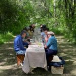 Banquete en el medio del bosque, la experiencia gastronómica 100% silvestre que promete convertirse en tendencia