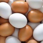 Descubren por qué los huevos son de distintos colores: la temperatura, clave en la explicación