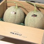 Un melón japonés, la fruta más cara y exótica del mundo