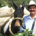 Juan Valdez, el icónico café del campesino y la mula, llega a Buenos Aires