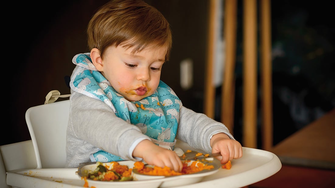 Memorándum Decepción Cortés Por qué comer con la mano estimula la inteligencia de los bebés - Cucinare