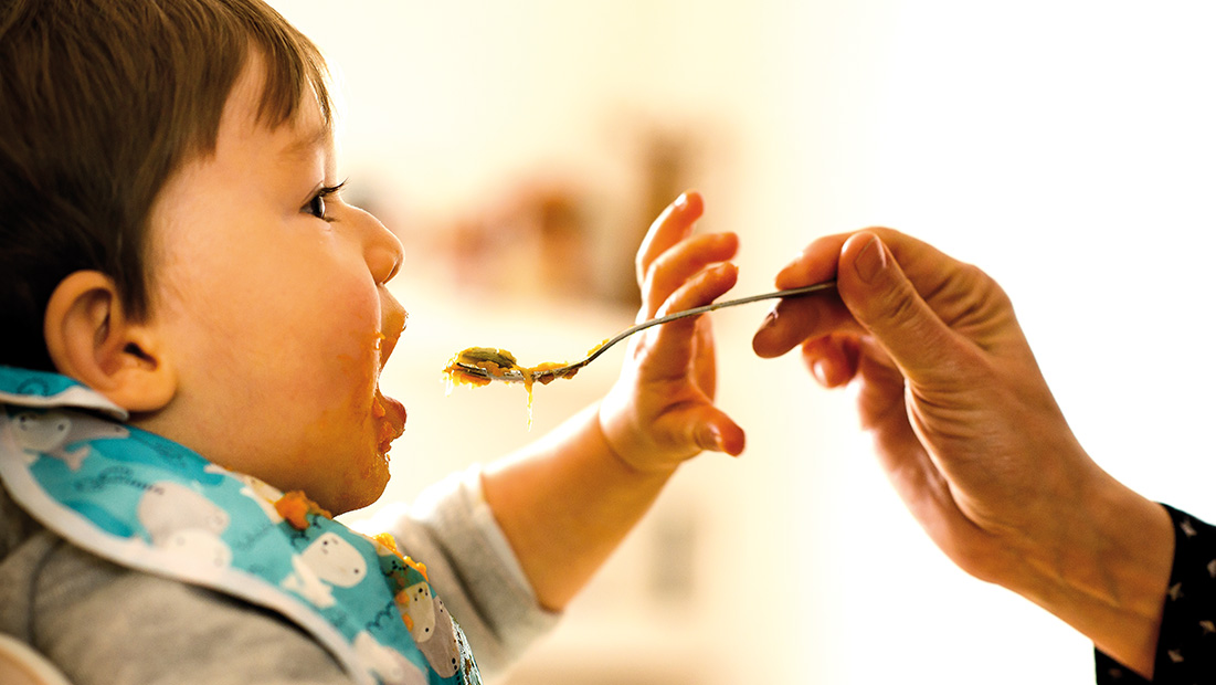 Los primeros alimentos del bebé