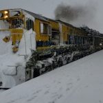 Tren patagónico, una experiencia vintage que incluye platos anclados en el tiempo