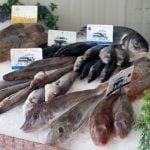 Venden pescado en cuotas para combatir la inflación