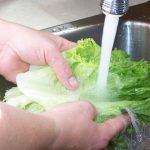 Lechuga: tips para conservarla por más tiempo