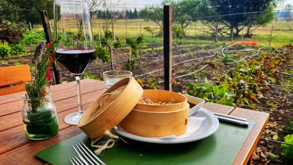 Del campo a la mesa el restaurante que produce sus propios alimentos