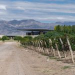 5 bodegas mendocinas para una ruta del vino variada en experiencias y sabores