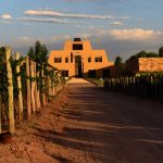 Cuatro bodegas argentinas, seleccionadas entre las 50 mejores del mundo