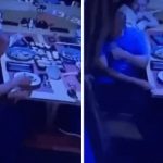 Una rata cayó sobre su plato mientras cenaba en un restaurante: su reacción se viralizó de inmediato