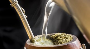 Afirman que tomar mate durante la lactancia es bueno para el bebé