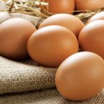 Obligan a una empresa a destruir más de 300.000 huevos por la gripe aviar: “Nosotros propusimos donarlos”