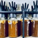 Kombucha: 5 lugares para probar esta milenaria bebida fermentada