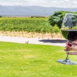 Un viñedo argentino fue elegido como el mejor del mundo en un prestigioso ránking internacional
