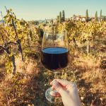 Día del Vino: las diez mejores etiquetas argentinas de 2023, elegidas por los especialistas