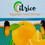 Llegaron las primeras naranjas de Egipto al Mercado Central tras la apertura de la importación de alimentos