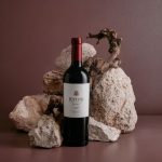 Un Malbec argentino compitió contra 17 mil etiquetas y fue elegido entre los mejores vinos del mundo