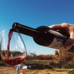 Se viene una nueva edición de la Fiesta del Vino de la Costa: la historia de la uva emblema del sur del conurbano bonaerense